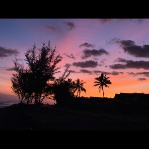 Meet your Posher, Leslie ann